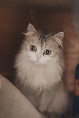 1251575