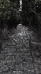 2255383