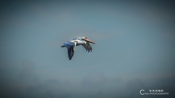 65199