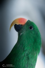 5506