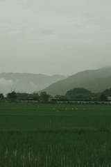 DBF27236-6C2B-4EAA-9DBE-5BCAA178C0BD/L0/001