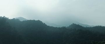 B94037A5-7454-4CE6-806A-527F52A066CE/L0/001