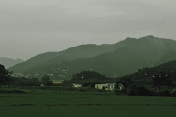 CFA26C79-F0B1-447F-8609-D76A14E43EB6/L0/001