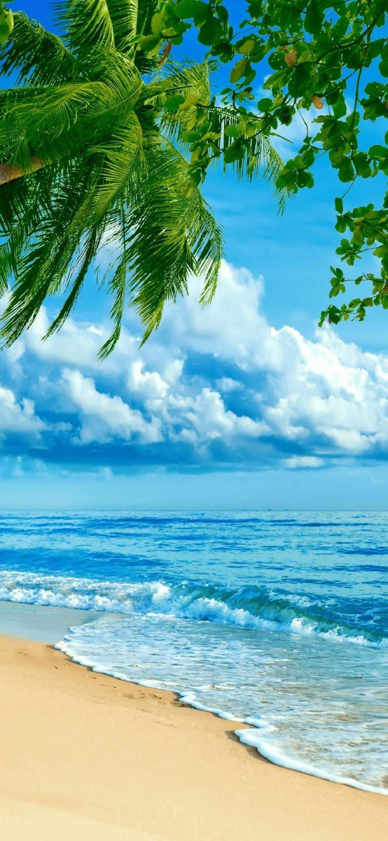 554_1200竖版 竖屏