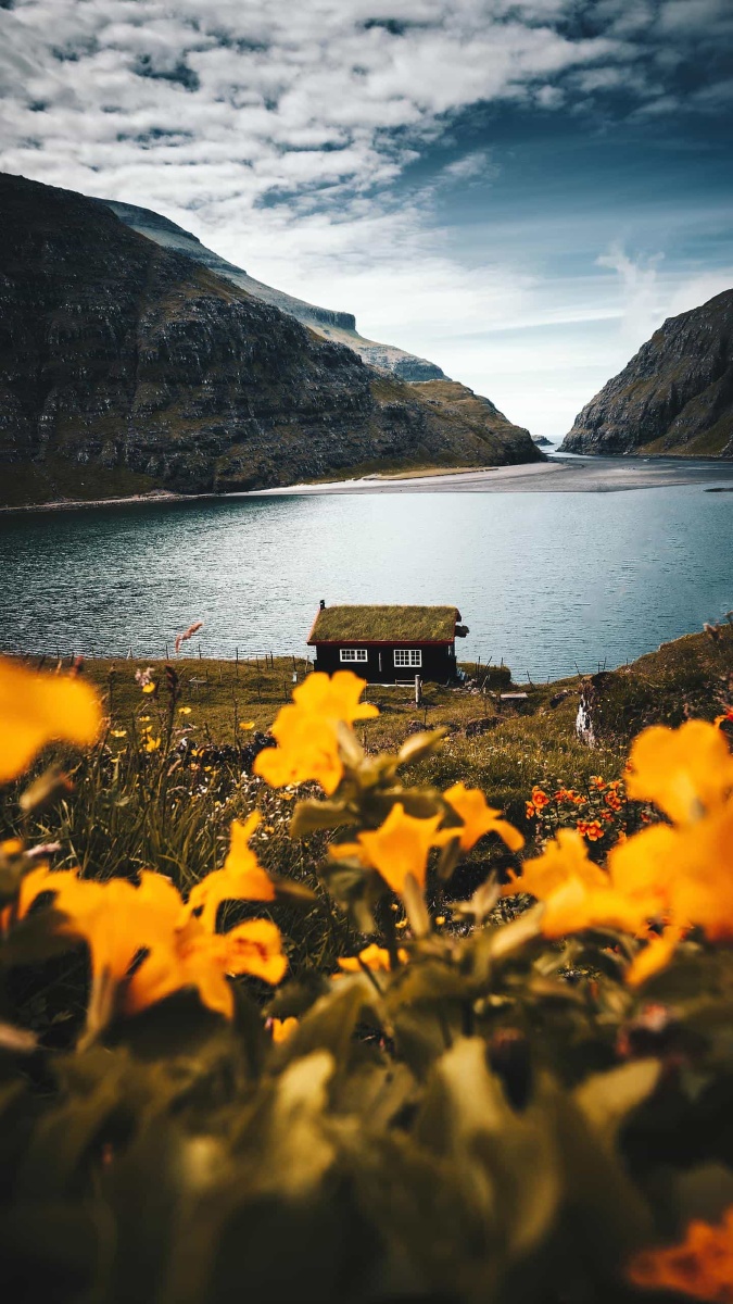 外面风景不错我带你去看看