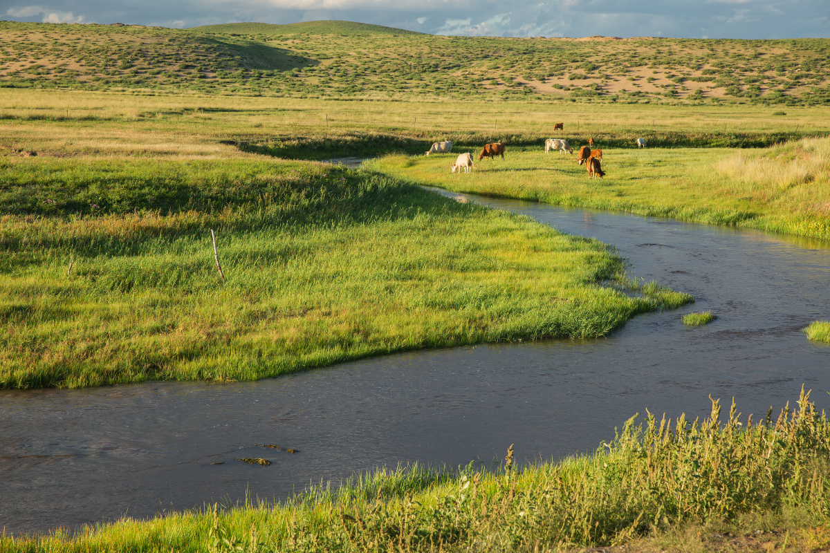 初秋的白音锡勒
