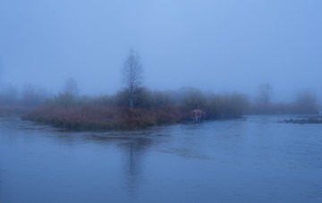 13717