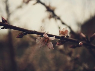 2B456CDB-EB41-4C18-B77A-65BC7BC302EF/L0/001