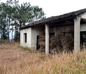 _DSC0080.jpg