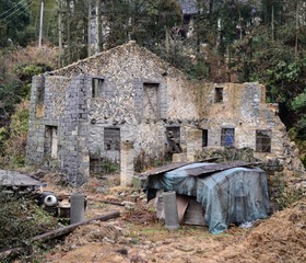 _DSC0096.jpg