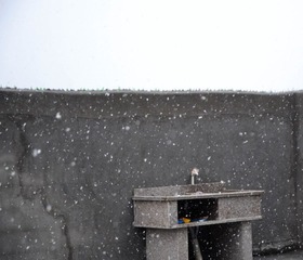 _DSC0116.jpg