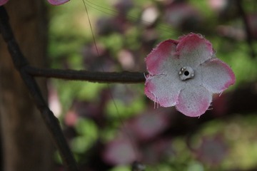 永恒的塑料花
