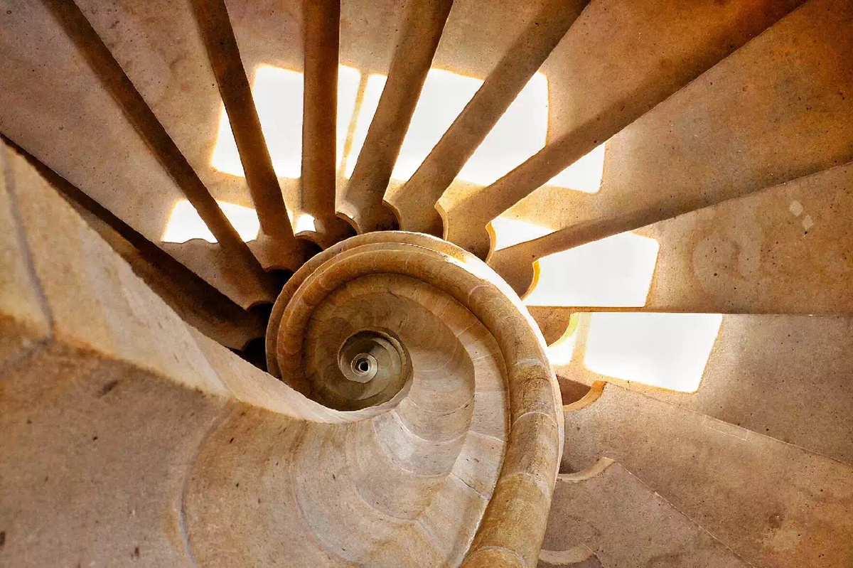 楼梯鹦鹉螺和光