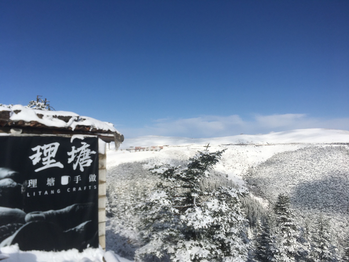 318理塘一场大雪银装素裹