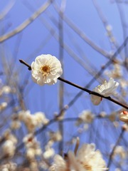 F957DA07-D787-4993-A70A-86CBBCEABD5D/L0/001