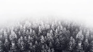 4F5F9E66-9B29-4EA6-B87E-CE8766D11164/L0/001