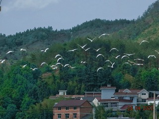 3048544