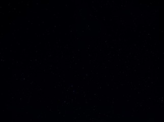 1000140446