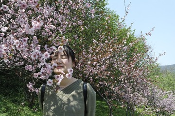 _SAM6213