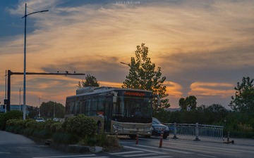 493591