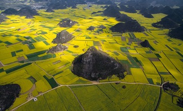 DJI_0153