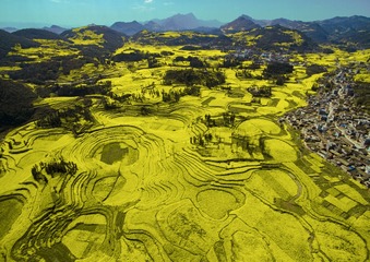 DJI_0121