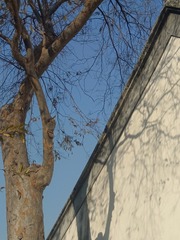 1000059602