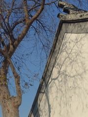 1000059599