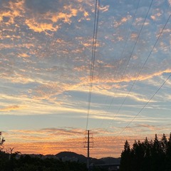 3E4E5038-7CDA-417E-B835-8AD087229F1B/L0/001