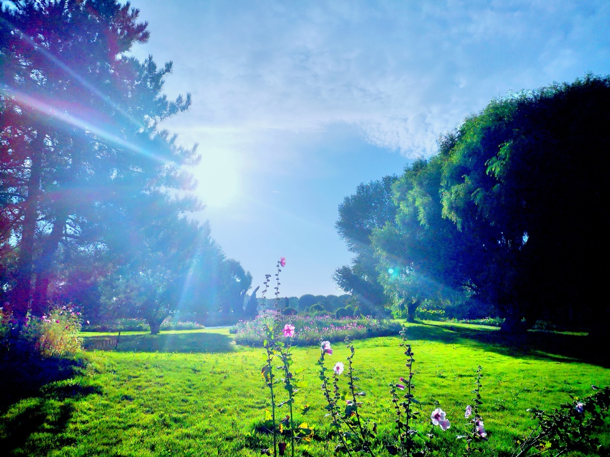 岁月斑驳时光静好仅仅活着是不够的还需要有阳光自由和一点花的芬芳