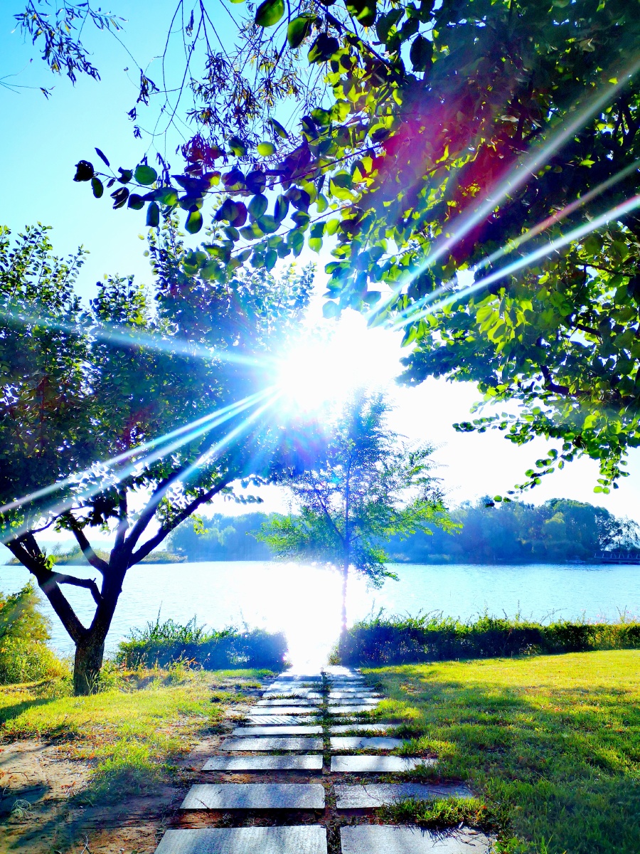 岁月斑驳时光静好仅仅活着是不够的还需要有阳光自由和一点花的芬芳