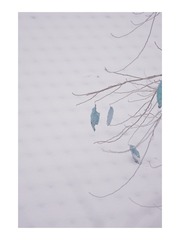 953983CD-C3E5-4C46-9F37-44BBA27F5300/L0/001