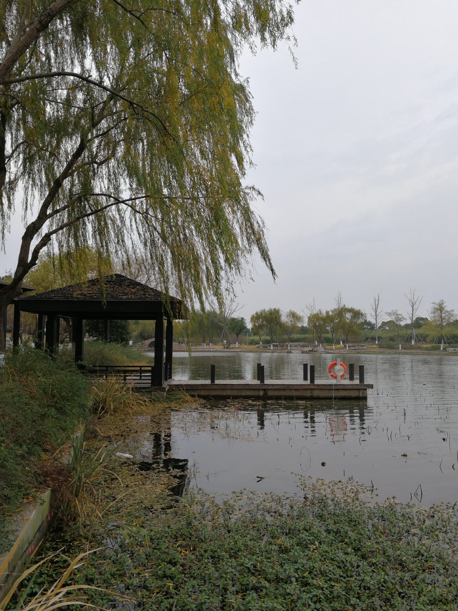 苏州阳澄湖莲池湖生态公园