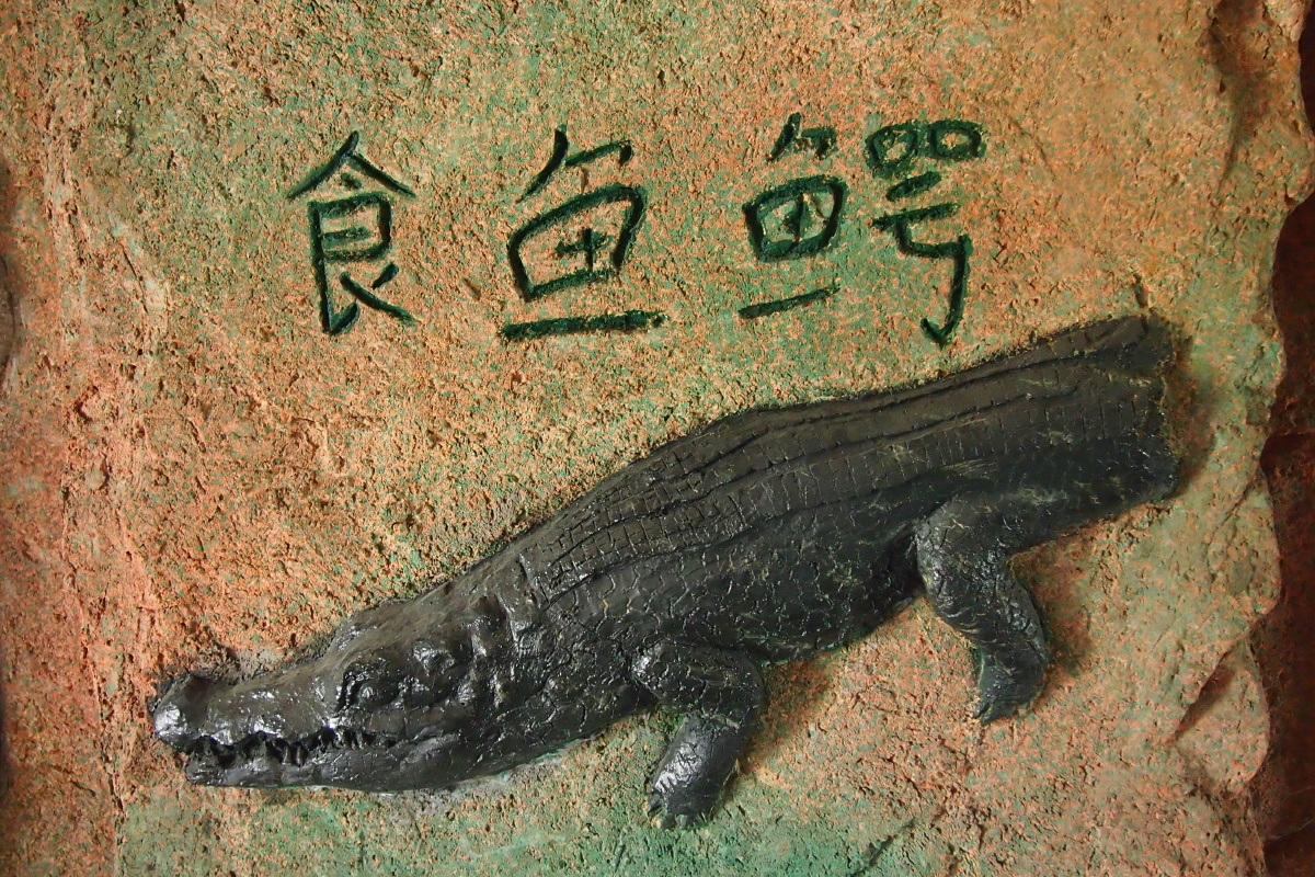 浙江湖州长兴县扬子鳄园 - 大树先生走着瞧 - 图虫