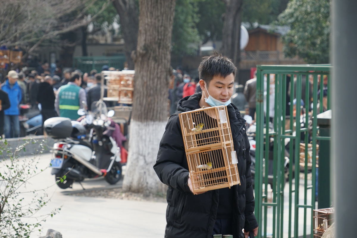 南京东水关遗址公园鸟市