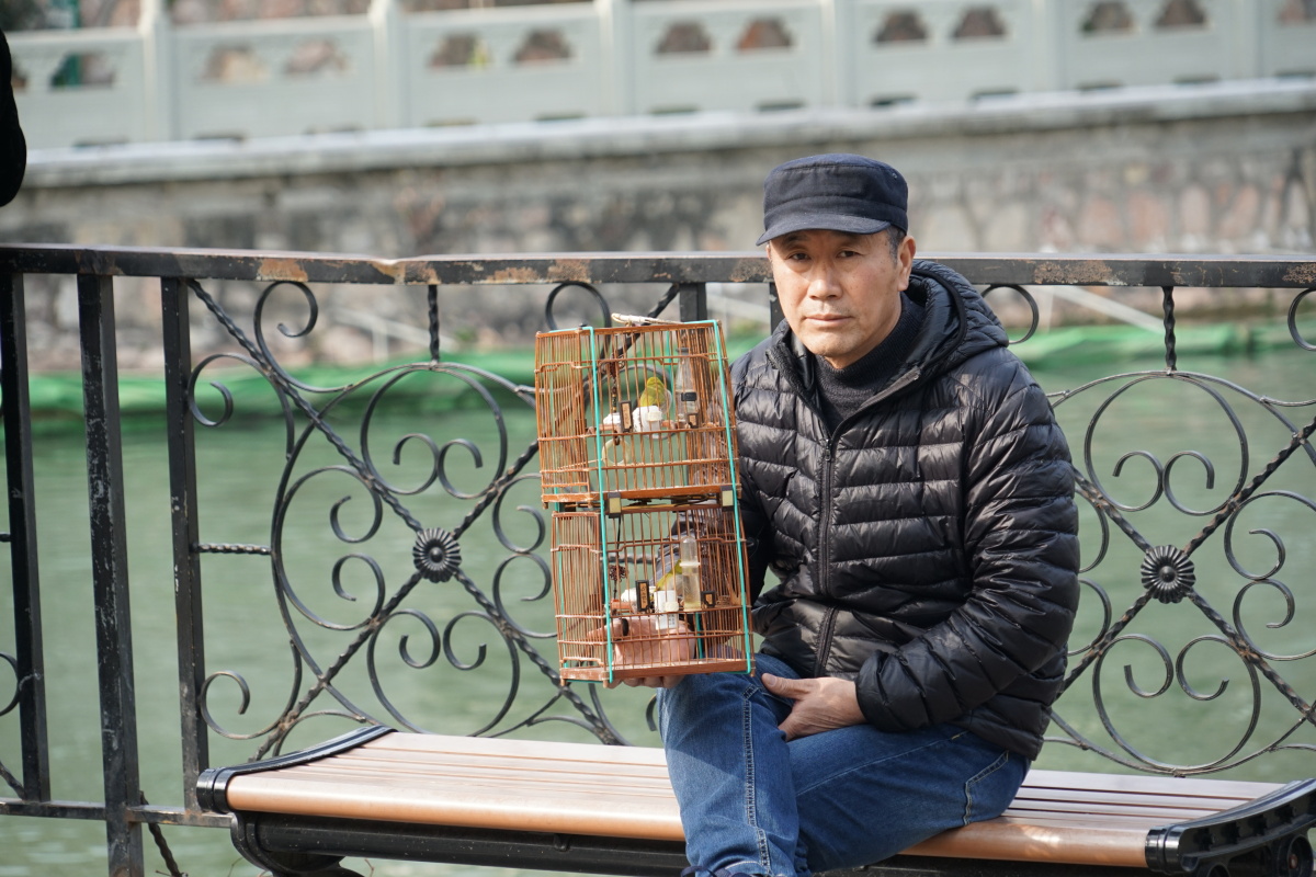 南京东水关遗址公园鸟市