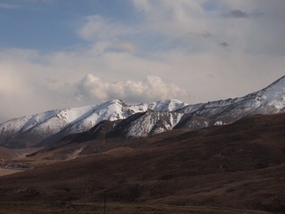 163564