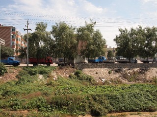 44061