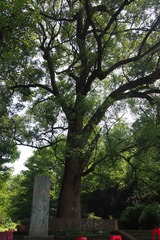 143080