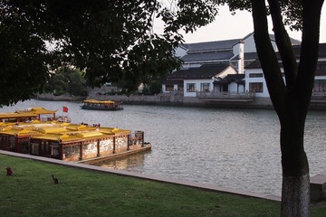 154316