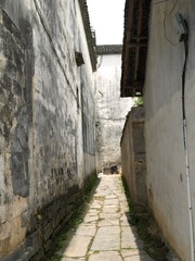 174301