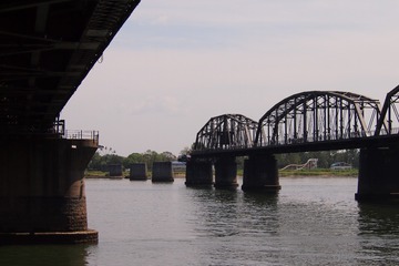 142056