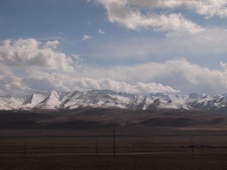163451