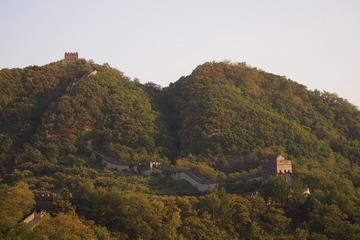 141861