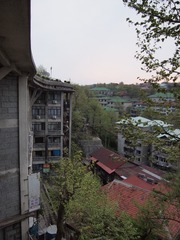 165774