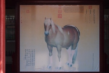 141246