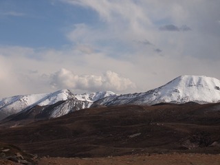 163558