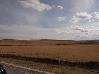 163638