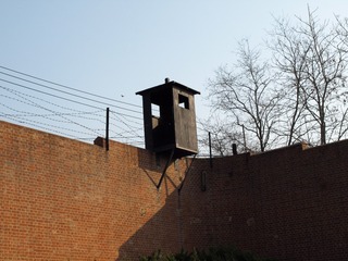 173391