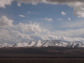 163441